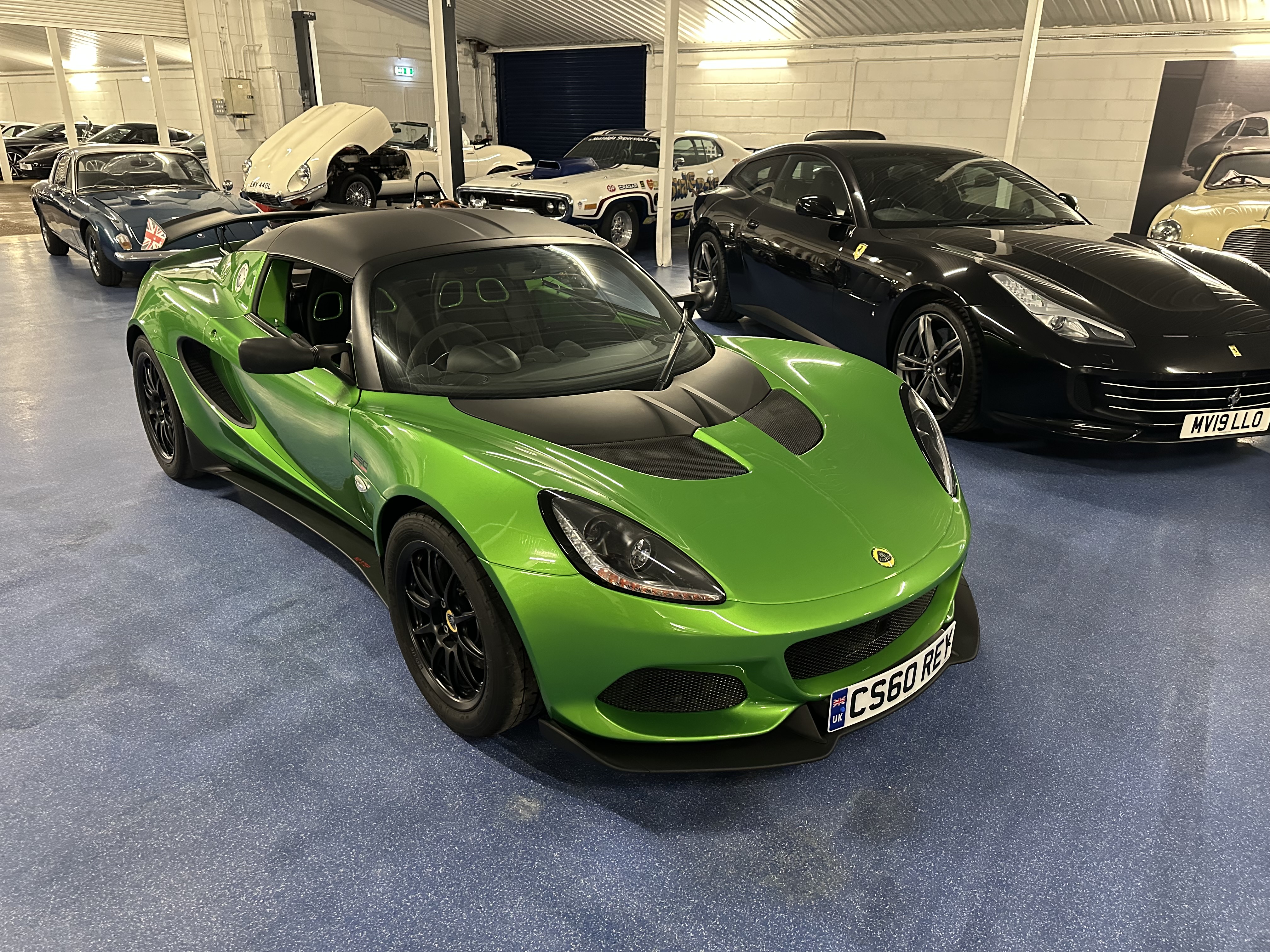 Elise Cup 250